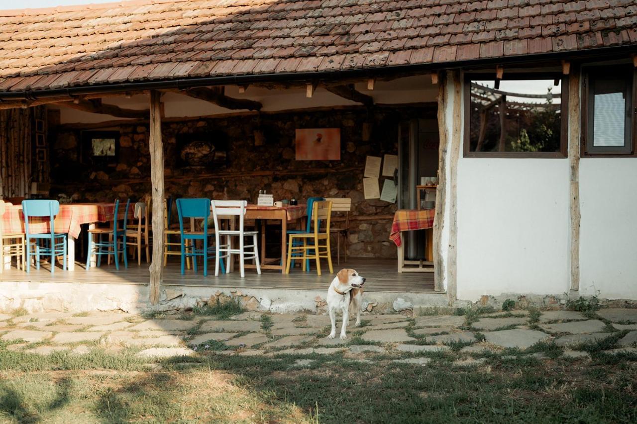 ホテル The Old Nest Madzharovo エクステリア 写真