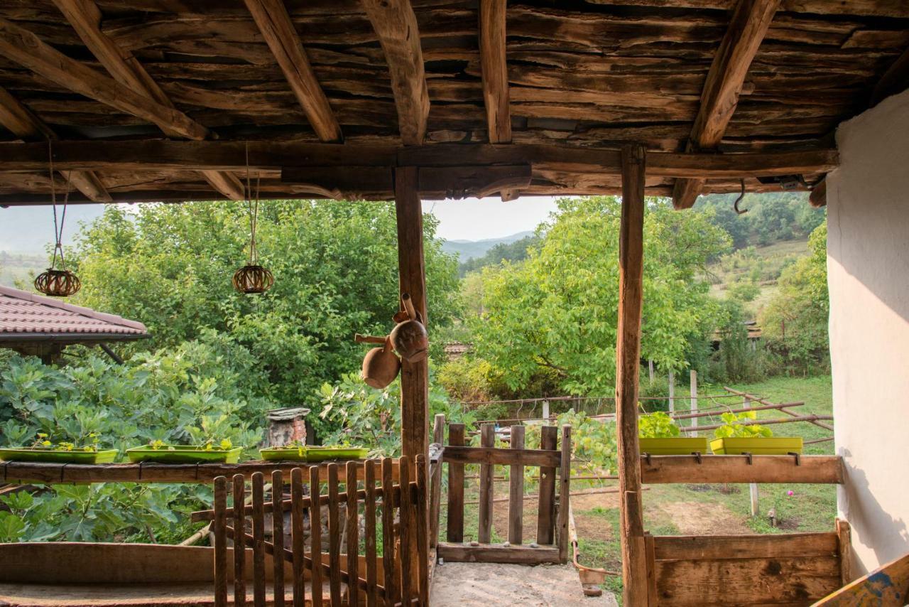ホテル The Old Nest Madzharovo エクステリア 写真