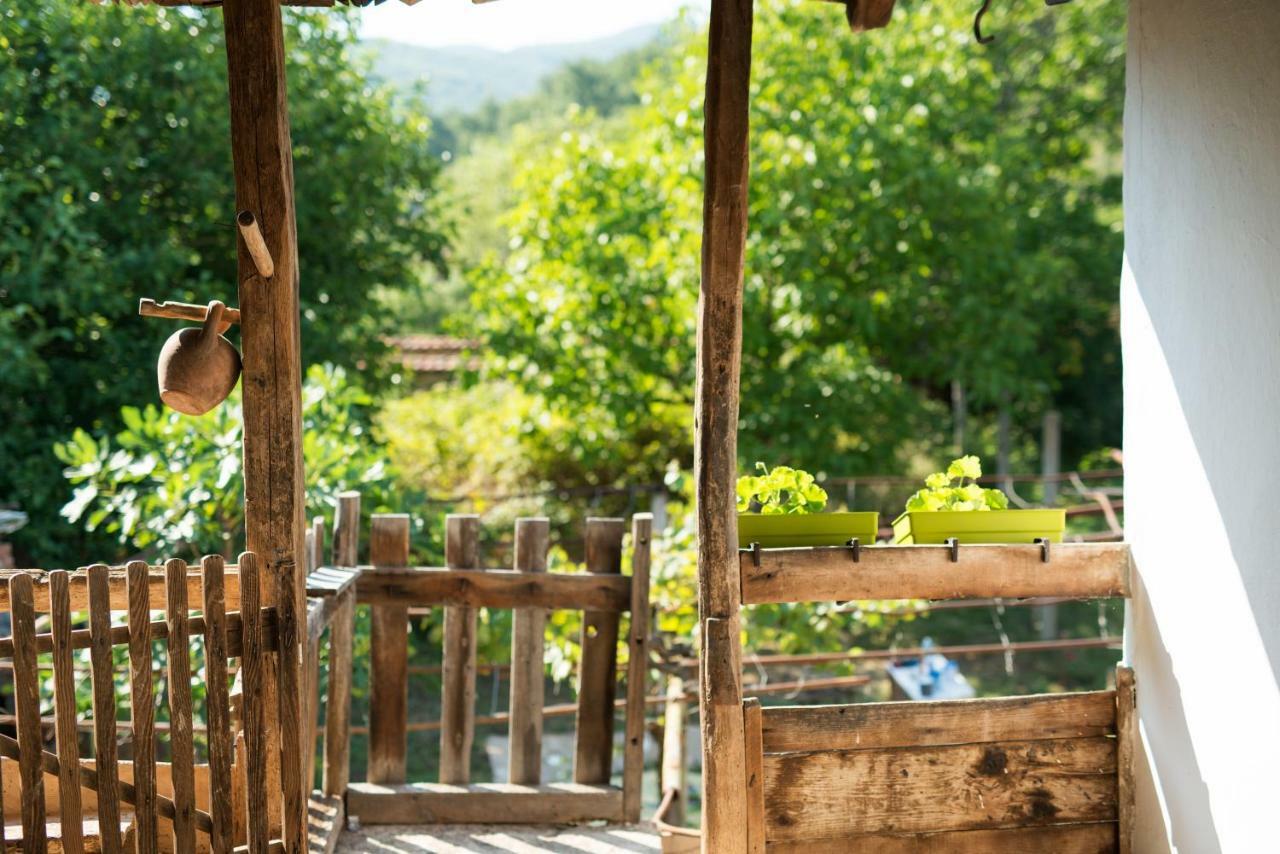 ホテル The Old Nest Madzharovo エクステリア 写真